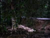 dscf4701-medium