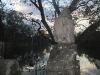 dscf4731-medium