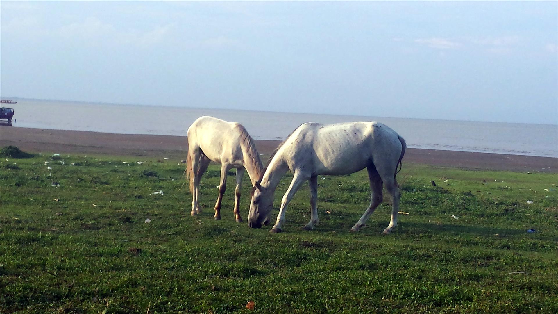 20150502_164150.jpg