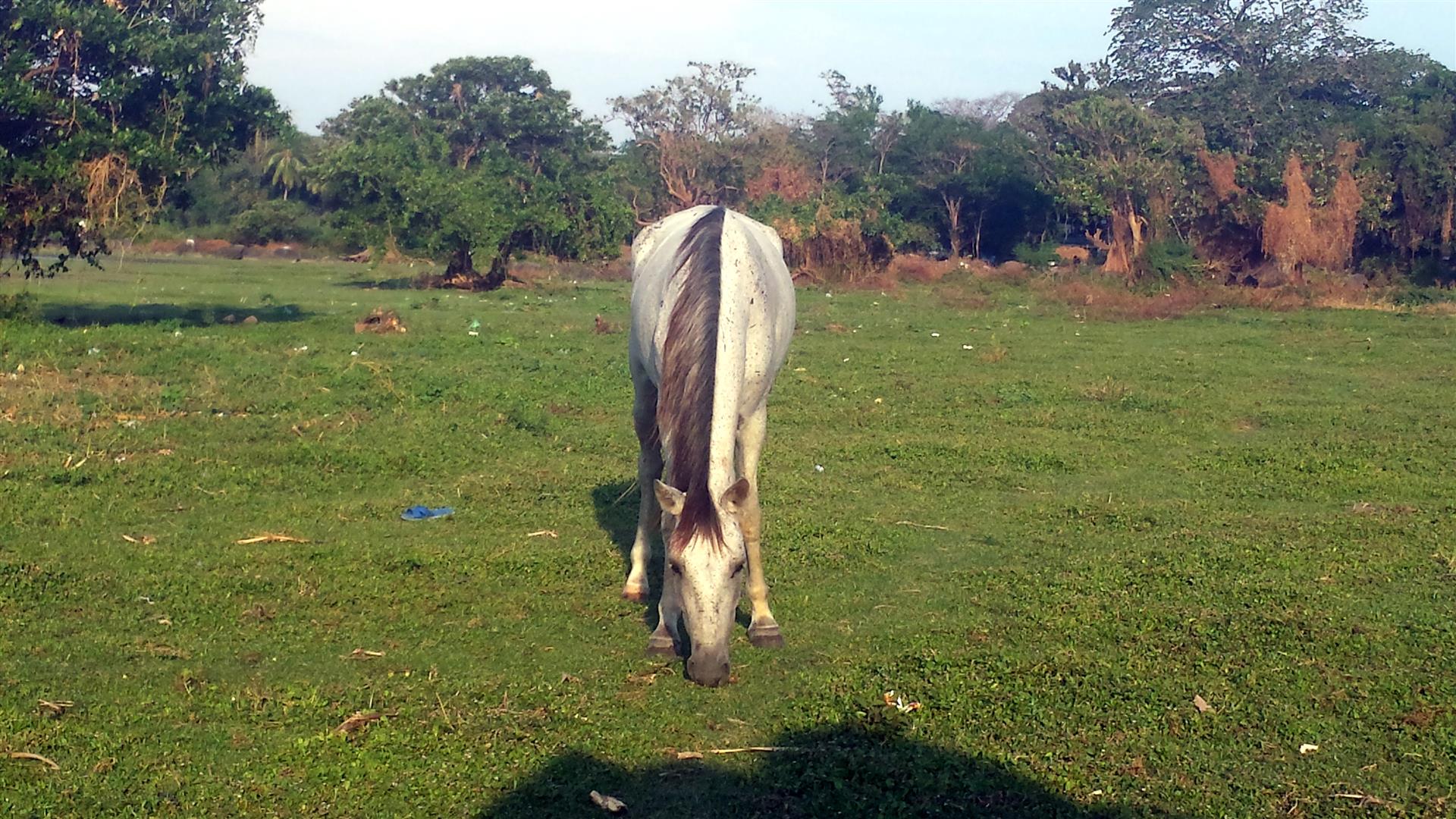 20150502_164227.jpg