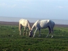 20150502_164150.jpg