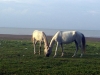 20150502_164154.jpg