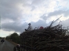 dscf4763-medium