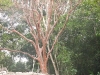 dscf0549-medium