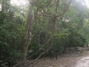 dscf0550-medium