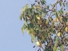 dscf0566-medium