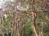 dscf0572-medium