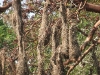 dscf0573-medium