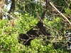 dscf0581-medium