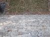 dscf0589-medium