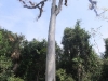 dscf0599-medium