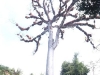 dscf0600-medium