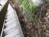 dscf2321-medium