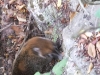 dscf2322-medium