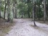 dscf2327-medium
