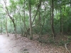 dscf2328-medium