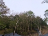dscf2329-medium