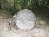 dscf2338-medium