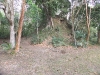 dscf2339-medium