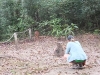 dscf2345-medium
