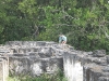 dscf2354-medium