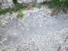 dscf2356-medium