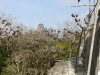 dscf2377-medium