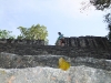 dscf2390-medium