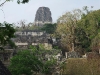 dscf2392-medium