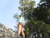 dscf2393-medium