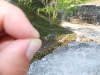 dscf2408-medium