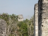 dscf2411-medium