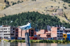 IMG_4879